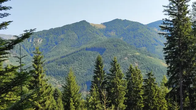 und zum zweiten ,,Hausberg" der Mürzzuschlager außer dem Kaarl - die ,, Große Scheibe "... | Foto: I.Wozonig