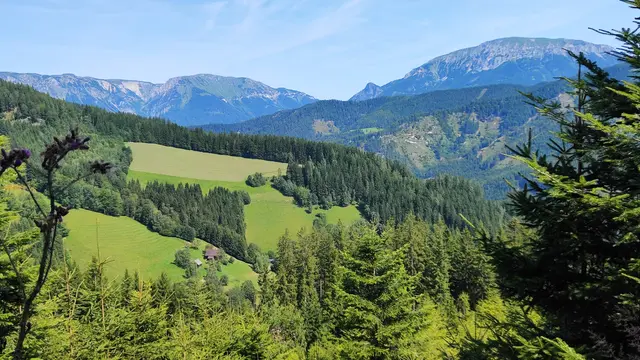 rechts ist die Rax zu sehen, die Spitze ist der Grabnergupf, und links breitet sich die Schneealpe aus... | Foto: I.Wozonig