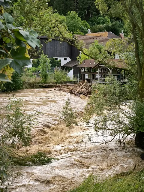 Verklausung bei der Wehranlage in Madstein (Gemeinde Traboch) am 17. Juli 2024. | Foto: Sonja Hochfellner