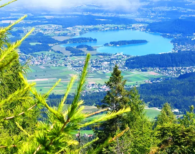 Foto: Rudolf Aichholzer