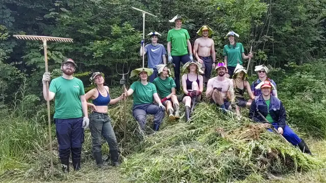 Gruppenfoto auf einem Berg von gerupften Goldruten. | Foto: Robert Reischl
