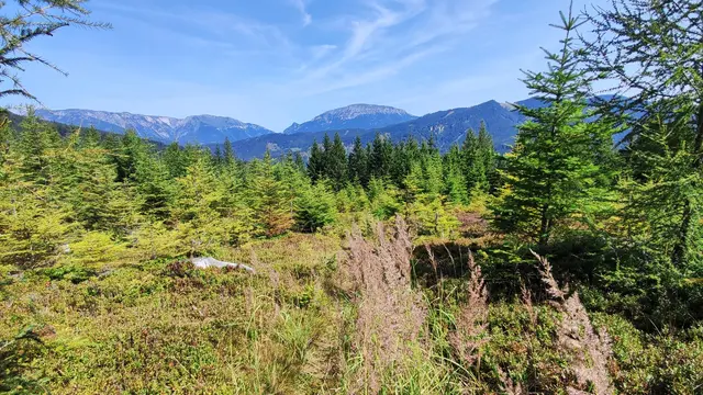hier muss man einfach stehen bleiben und die Aussicht genießen... | Foto: I.Wozonig