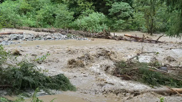Wald am Schoberpaß bot ein Bild der Verwüstung.  | Foto: Norbert Ortner