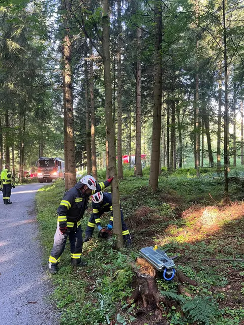 Foto: Freiwillige Feuerwehr Sandl