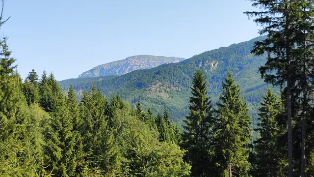 erster Blick zur Rax ,,hinüber"... | Foto: I.Wozonig