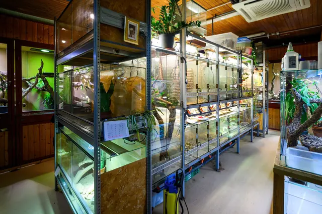 Wie am Mittwoch bekannt wurde, zieht sich das Tierheim aus finanziellen Gründen zurück. | Foto: Haus des Meeres