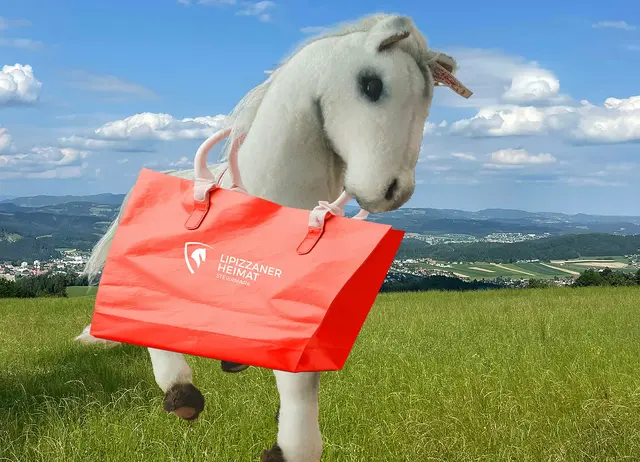 Auch im Advent kannst du wieder deinen Einkauf zurückgewinnen. Also gleich einreichen! | Foto: MeinBezirk