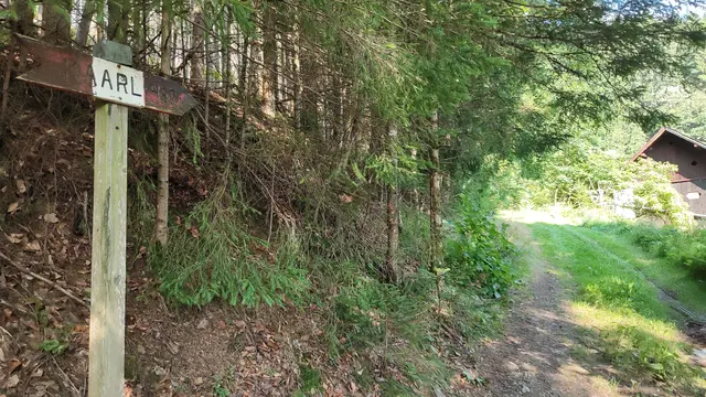 nach ein paar Minuten biegen wir  beim Grüblbauer nach rechts in den Wald von der Straße ab...  | Foto: I.Wozonig