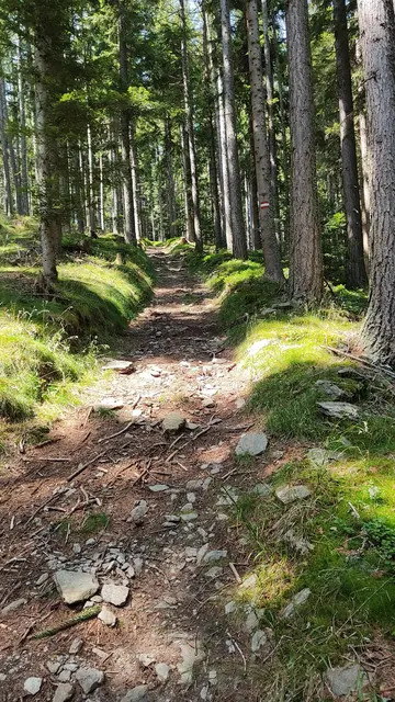 immer der Markierung nach... | Foto: I.Wozonig