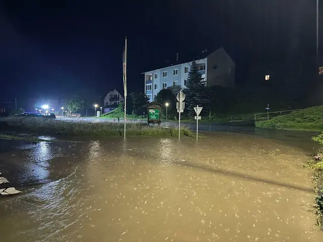 Das Unwetter war kurz, aber heftig. Starke Niederschläge verursachten im Bezirk Leoben sowie im Nachbarbezirk Bruck-Mürzzuschlag schwere Überschwemmungen und Murenabgänge.  | Foto: BFV Leoben