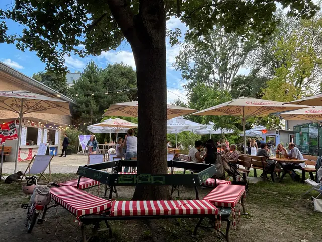 Im Außenbereich des Atelier Augarten stehen ein Getränke- und drei Essensstände um einen etwa zehn Meter hohen Spitzahornbaum wie eine Western-Wagenburg um ein Prärie-Lagerfeuer. Als Regenschutz ist der Koloss aber nur bedingt geeignet.  | Foto: Kevin Chi/MeinBezirk
