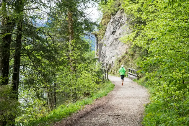 Der Charity-Lauf führt Teilnehmerinnen und Teilnehmer um den Hintersee. | Foto: Fuschlseeregion/Georg Strobl