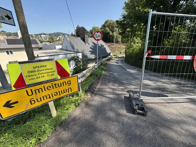 Von 8. bis 17. August finden Sanierungsarbeiten statt. | Foto: MeinBezirk