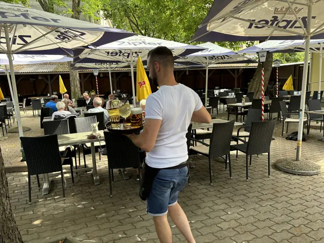 Auch im Restaurant Pan finden sich die Eierschwammerl auf der saisonellen Karte. | Foto: Luca Arztmann/MeinBezirk