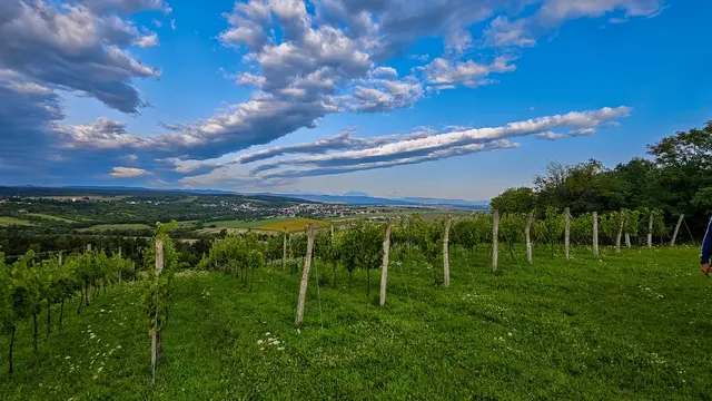 Foto: Viktor Fertsak