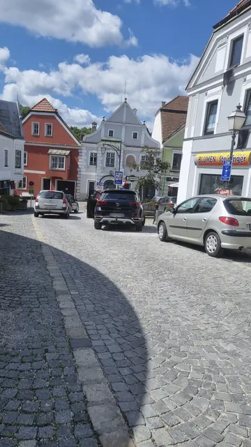 Kunstparker beim Zwettler Hundertwasserbrunnen im Juni 2023. | Foto: privat