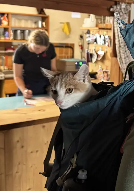 Im Rucksack wurde Gino Heim transportiert. | Foto: Matrashaus