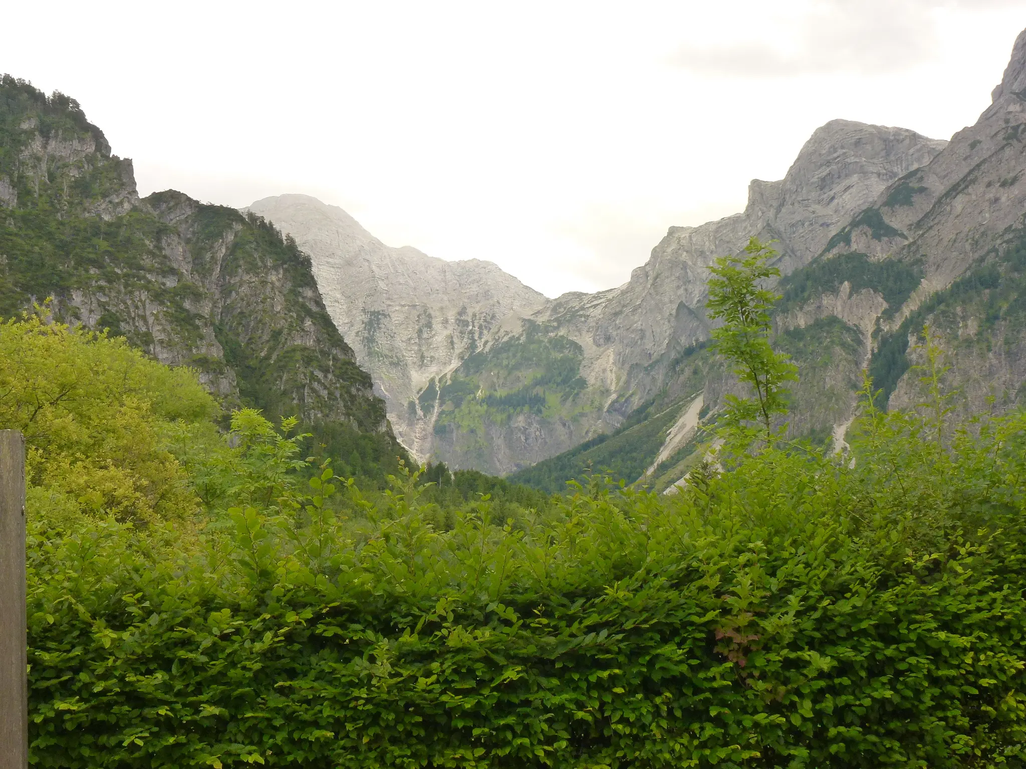 Ein-Spaziergang-in-wundersch-ner-Natur