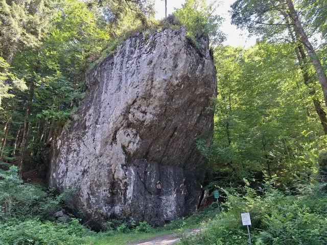 Satzstein  | Foto: H.Bachinger