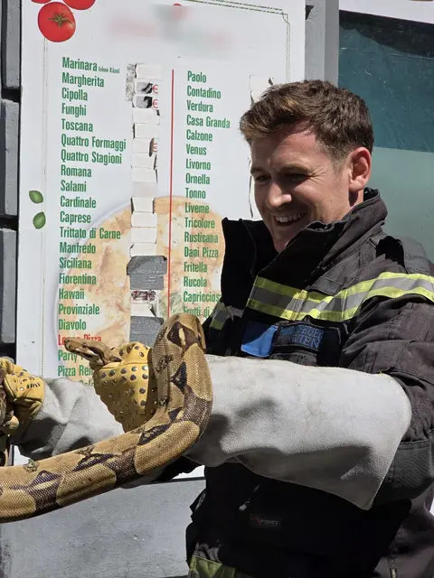 Die Würgeschlange wurde in der Landstraße gerettet.  | Foto: Stadt Wien | Feuerwehr
