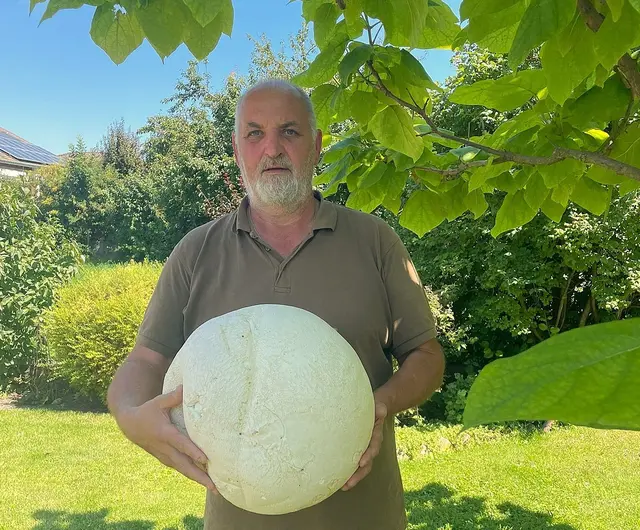 Gerhard Doppelhofer mit dem Riesenbovist | Foto: Familie Doppelhofer 