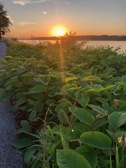 Foto: Christina Altmutter