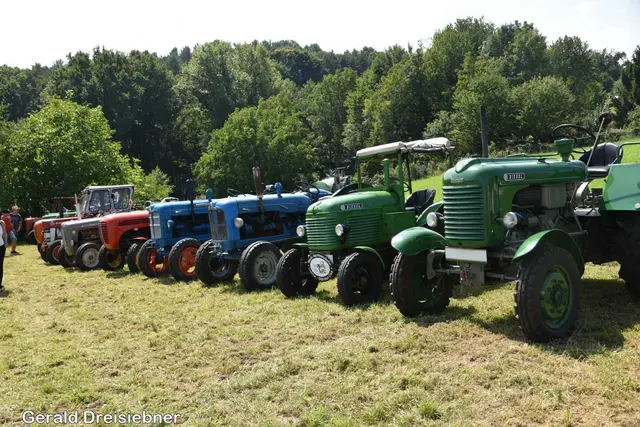 Foto: Gerald Dreisieber