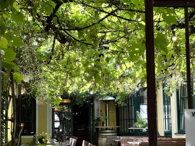 Wie schön, der alte Weinstock sorgt mit seinem grünem Laub für Kühle und Schatten.  | Foto: Elisabeth Egle