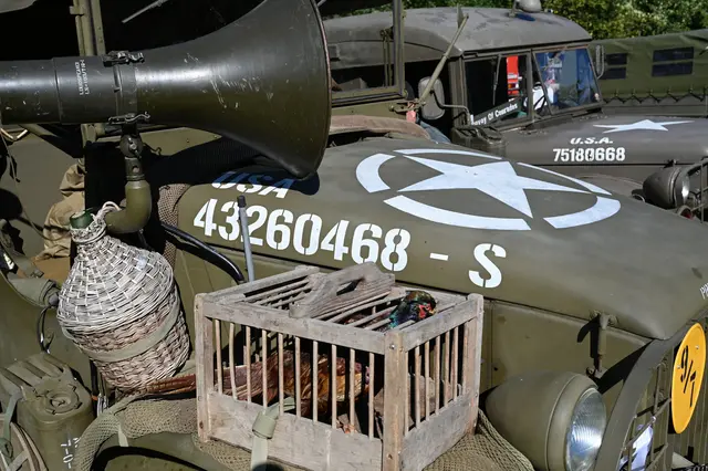 Foto: Wilfried Fischer