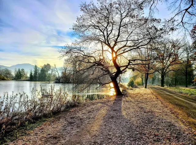 Leopoldskron-Moos bietet sehr viel wunderschöne Natur, wie hier die Morgensonnenstrahlen am Leopoldskron Weiher, eingefangen von einer unserer Regionautinnen. | Foto: Mónika Mecsériné Felde