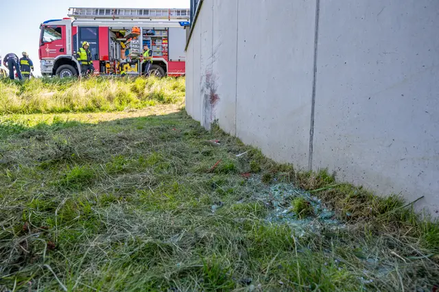 Foto: TEAM FOTOKERSCHI