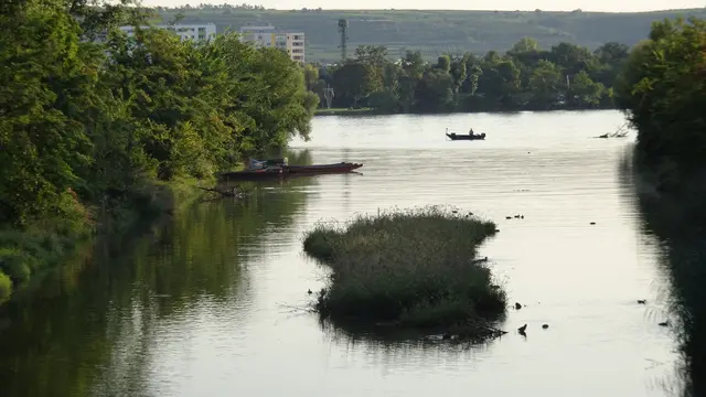 Die neue Insel in der Fladnitz-Mündung