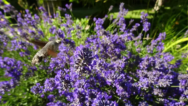  &gt;&gt;&gt; Zum Experiment   geht's im zweiten Teil. &gt;&gt;&gt; | Foto: © Silvia Plischek