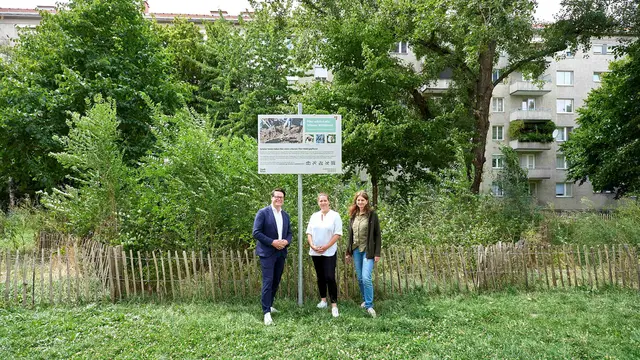 Stadtrat Jürgen Czernohorszky, Bezirksvorsteherin Christine Dubravac-Widholm (beide SPÖ) und MA49-Chefin Petra Wagner (v.l.n.r.) besuchten das Wiener Wäldchen in der Brigittenau. | Foto: Stadt Wien/Markus Wache