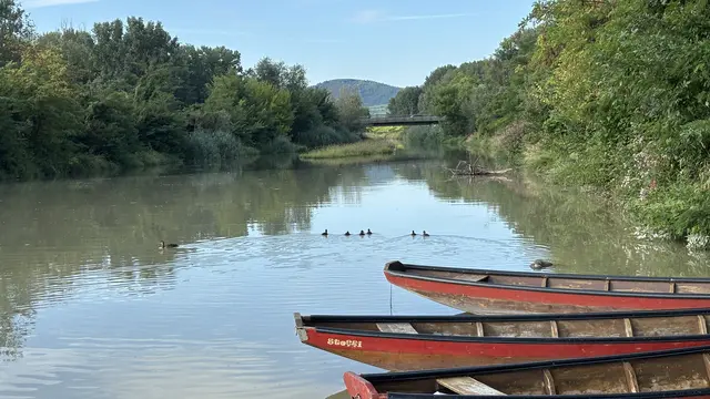 Die Fladnitz-Insel zwischen Donau und B33-Brücke