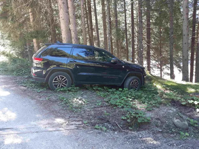 rücksichtsloses Parken im Schutzgebiet | Foto: Tiroler Bergwacht - Einsatzstelle Stubai