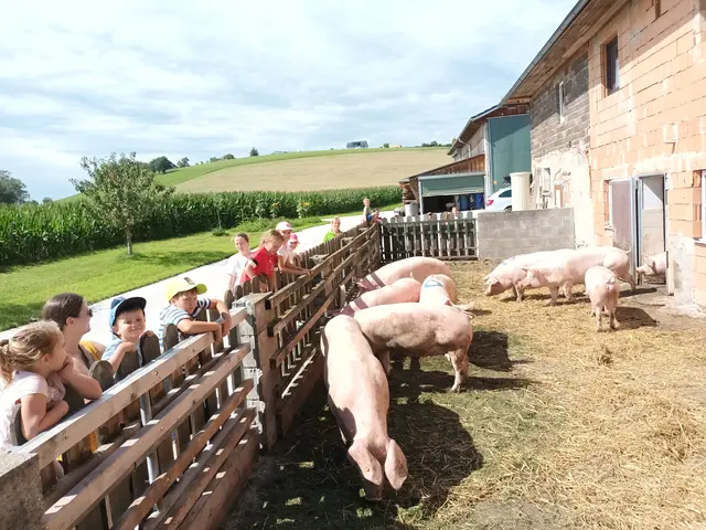 Die Kinder fanden es spannend, die Schweine zu beobachten. | Foto: Michaela Eidenberger