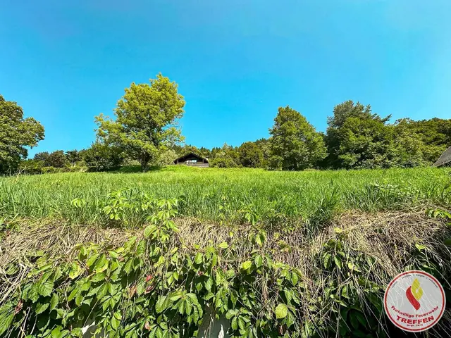 Foto: Freiwillige Feuerwehr Treffen