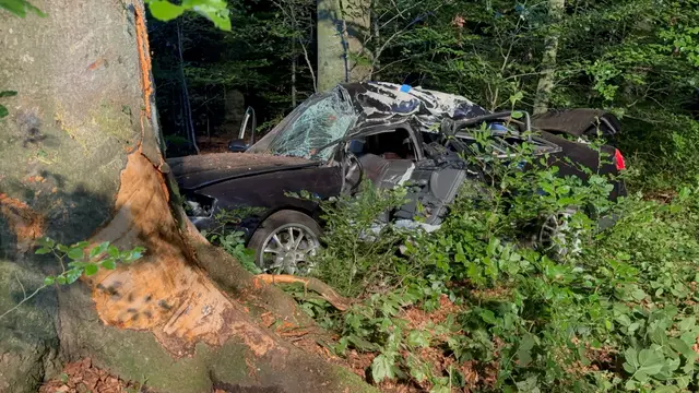 Ein Pkw kam aus bisher ungeklärter Ursache von der Fahrbahn ab und prallte seitlich gegen einen Baum.  | Foto: DOKU-NÖ