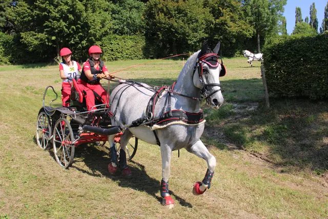 Frauenpower in Piber. Auch die Frauen waren sehr erfolgreich. | Foto: Cescutti