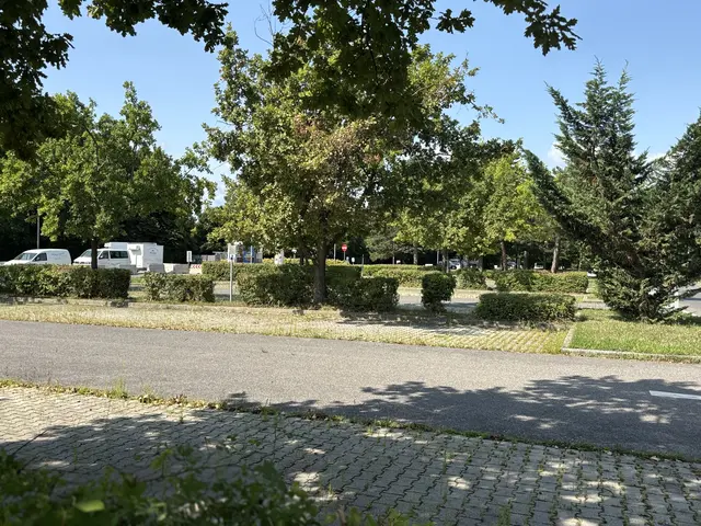 Foto: Andreas Pölzl/ MeinBezirk