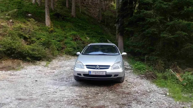 Forstwege werden zugeparkt | Foto: Tiroler Bergwacht - Einsatzstelle Stubai