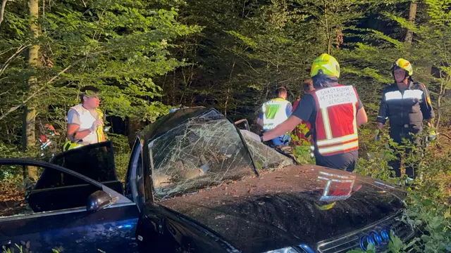 Die Feuerwehr übernahm die Bergung des Fahrzeugs und stellte den Pkw gesichert auf einem Abstellplatz ab.  | Foto: DOKU-NÖ