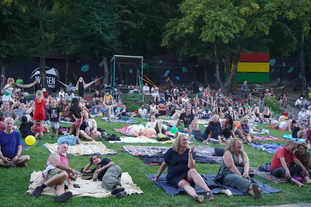 Wem zu heiß zum Tanzen war, der lauschte der Musik auf der schattigen Wiese. | Foto: Jennifer Flechl