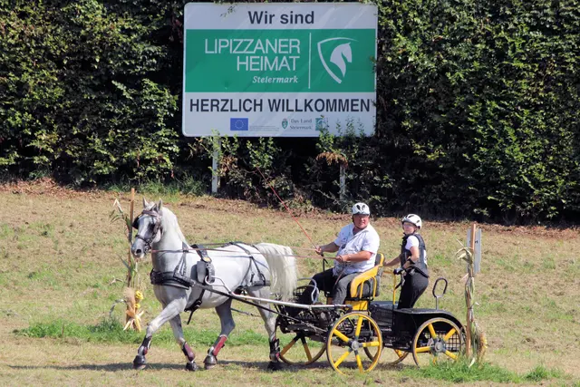 Wie passend. Die Gespannfahrerinnen und -fahrer in der Lipizzanerheimat | Foto: Cescutti