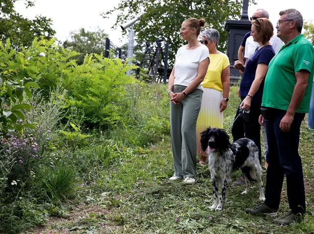Anja Haider-Wallner bei der Pressekonferenz zum Kampf gegen gebietsfremde Arten im Naturpark Rosalia-Kogelberg in Draßburg. | Foto: Landesmedienservice Burgenland / Daniel Fenz