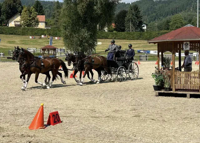 In der Arena gab es viele versierte Gespannfahrerinnen und -fahrer zu bestaunen. | Foto: Stadtgemeinde Köflach