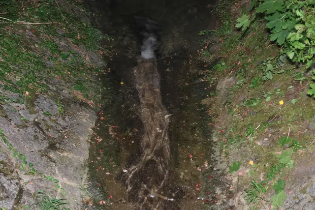 Drei Spaziergänger hörten die Hilfeschreie: Ein 37-Jähriger konnte schwer verletzt aus dem Katzenbach in Thalheim nahe der Traun gerettet werden. | Foto: laumat.at