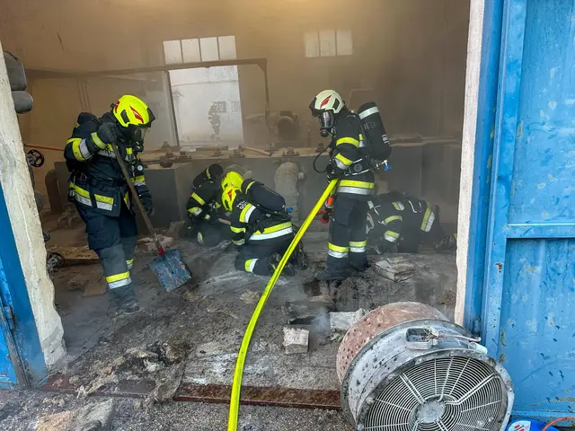 Die Feuerwehren konnte eine Ausbreitung verhindern. | Foto: Freiwillige Feuerwehr Fürnitz