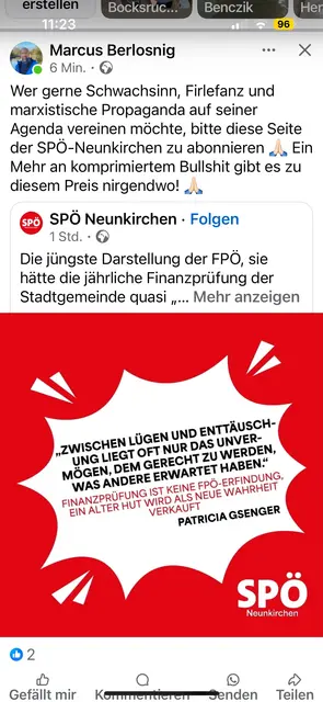 Die deftige Aussage des Stadtvizes. | Foto: Screenshot MeinBezirk